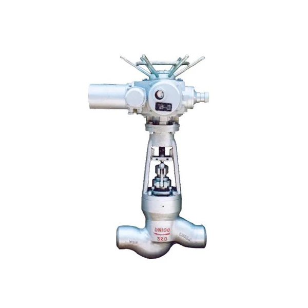 Power Station Globe Valve