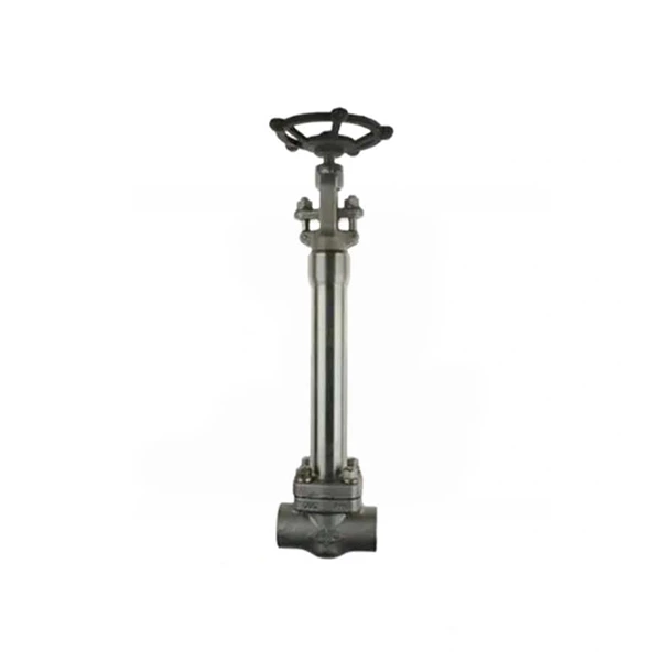 Forged Cryogenic Gate Valve