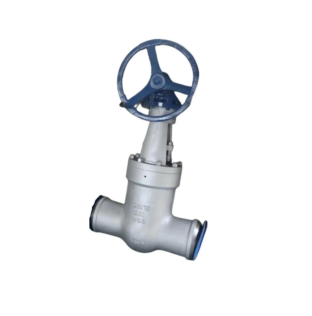 Power Station Gate Valve