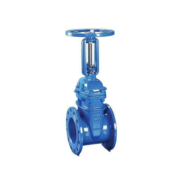 DIN F4 Rising Stem Gate Valve