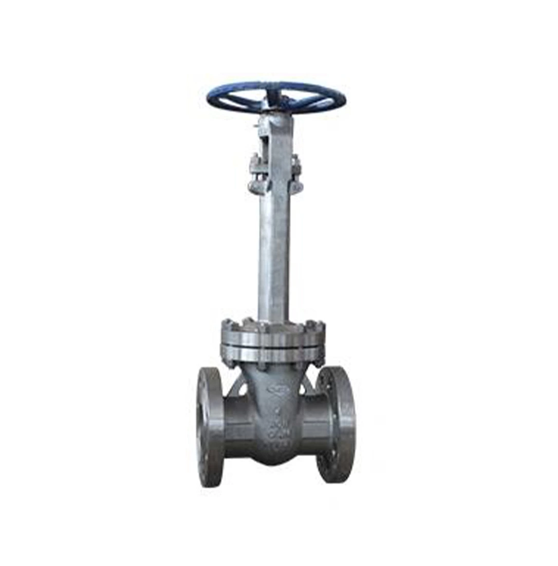 Cryogenic Gate Valve