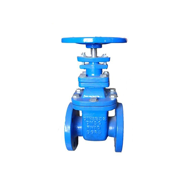 China Flanged End Gate Valve Manufacturers & Suppliers - Wenzhou Gairui 