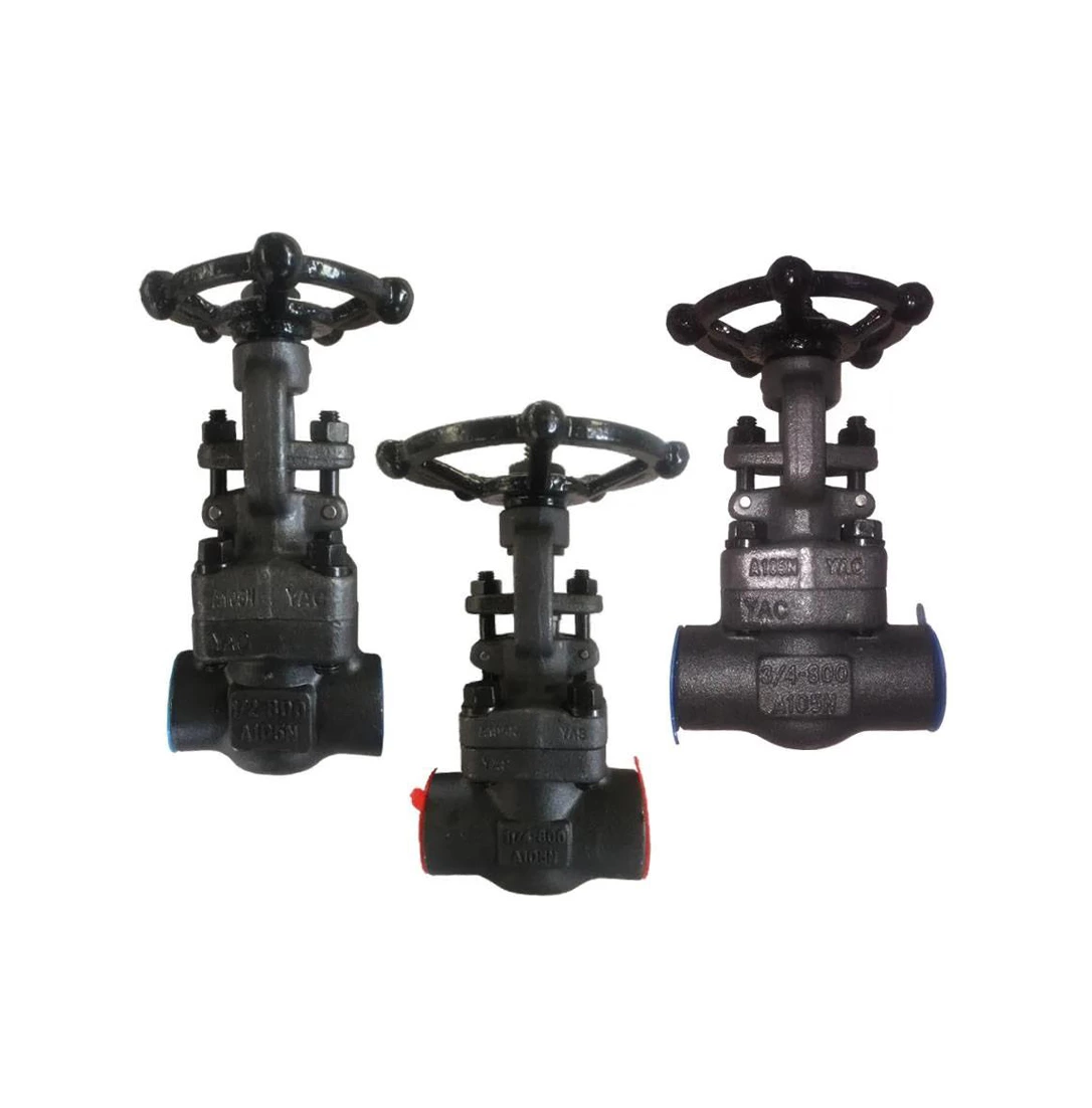 Forged Steel Gate Valve