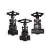 Safety Operating Procedures For Forged Steel Gate Valves