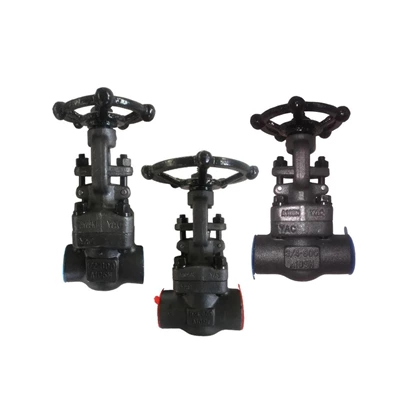 Safety Operating Procedures For Forged Steel Gate Valves