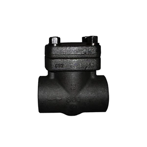 What Are The Main Characteristics Of Forged Steel Check Valves?