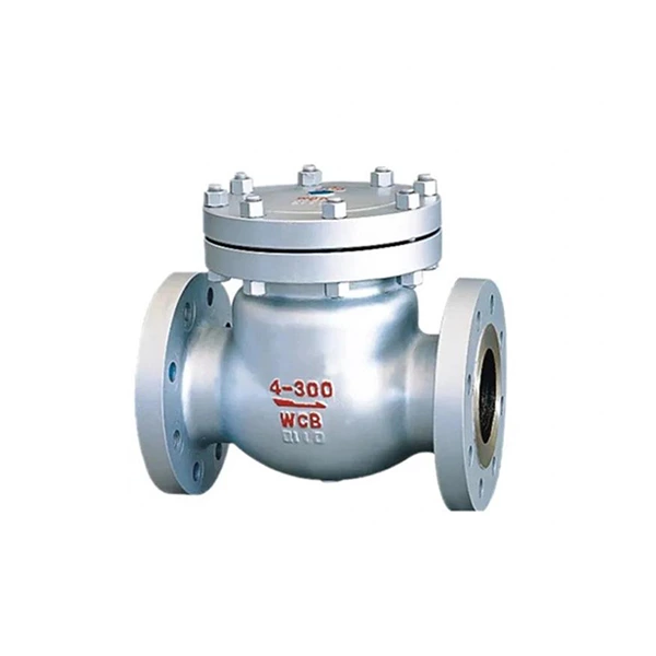 Cast Bronze Check Valve