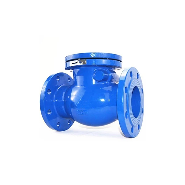 Cast Iron Check Valve