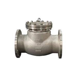 API 600 Cast steel Check Valve