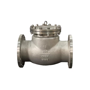 API 600 Cast steel Check Valve
