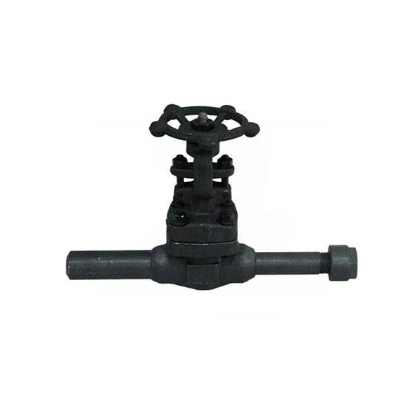 Extended Body Gate Valve