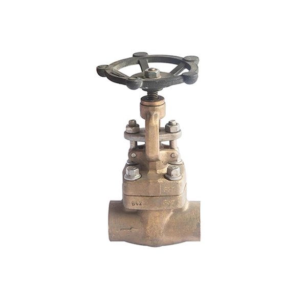 Forged Bronze Check Valve