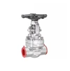 How To Scientifically Maintain Forged Steel Gate Valves For Steam?