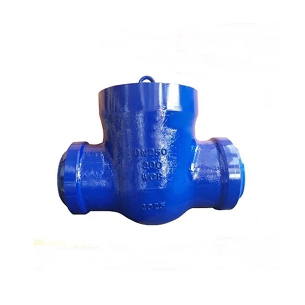 Power Station Check Valve