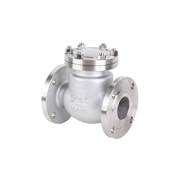 Stainless Steel Check Valve