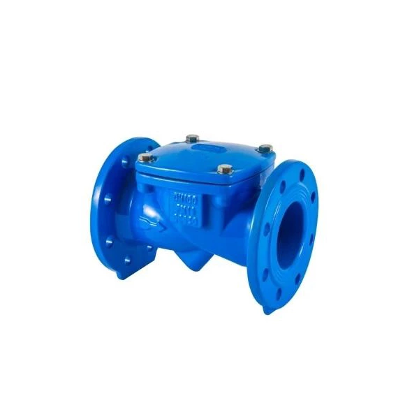 Swing Flex Check Valve