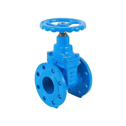 Cast Iron Gate Valve