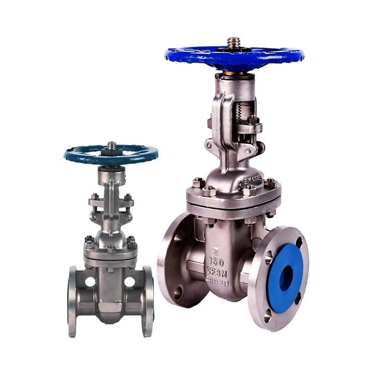 Stainless Steel Gate Valve